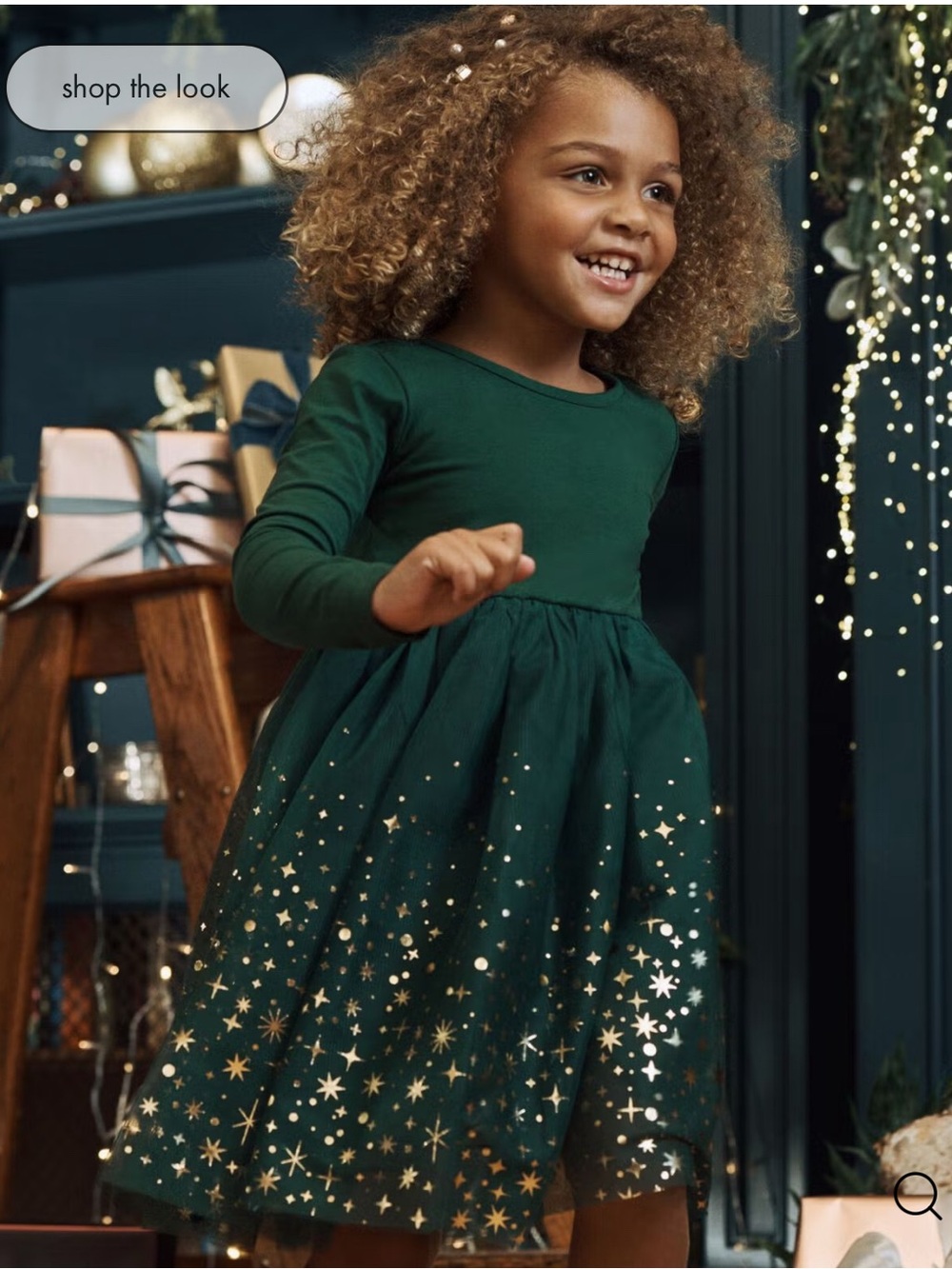 NWOT Hanna Anderson Long Sleeve Shimmer Tulle Dress